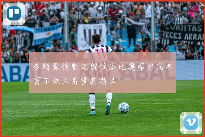 多特蒙德坚定留住法比奥席尔瓦冬窗不放人看重其潜力