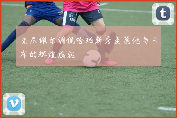 克尼佩尔调侃哈珀新秀羡慕他与卡布的辉煌成就