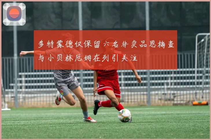 多特蒙德仅保留六名非卖品恩梅查与小贝林厄姆在列引关注